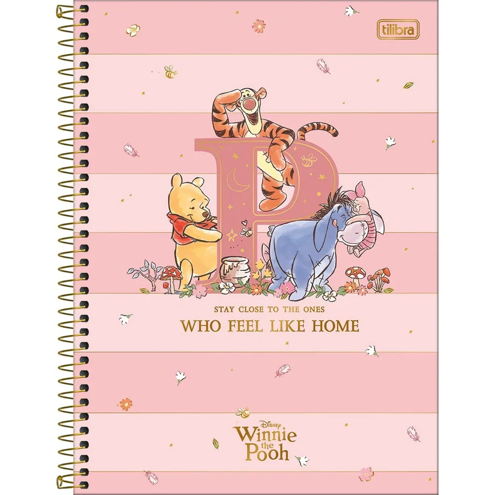 Caderno Universitário Capa Dura 1 Matéria Pooh 80 fls