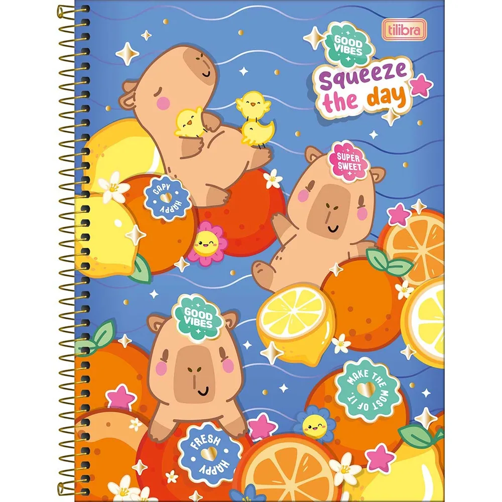 Caderno Universitário Capa Dura 12 Matérias Capyclub 192 fls