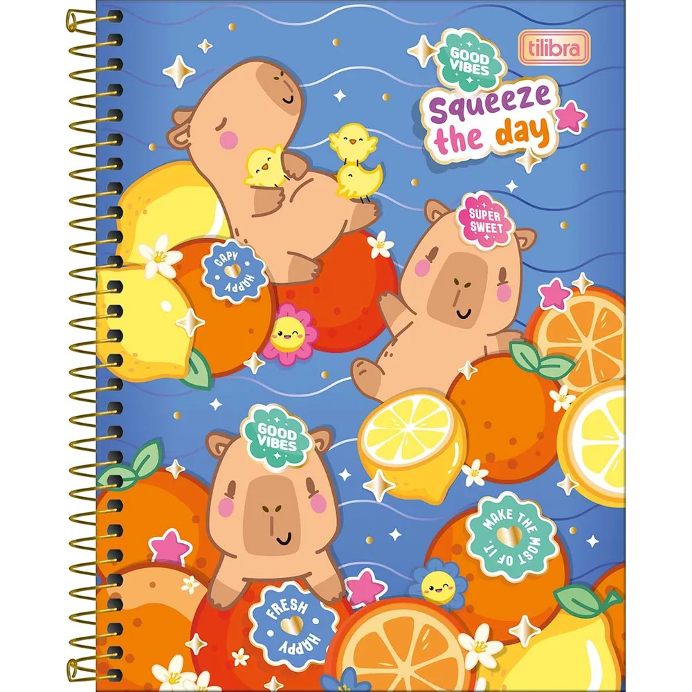 Caderno Colegial Capa Dura 10 Matérias Capyclub 120 fls